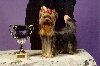  - Special Terrier Show  Luxembourg